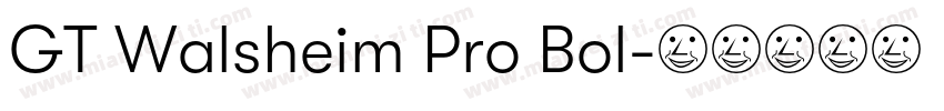GT Walsheim Pro Bol字体转换
